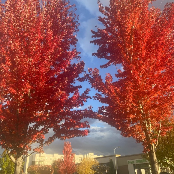 Meet your Posher, Judite - Picture 3 of 16